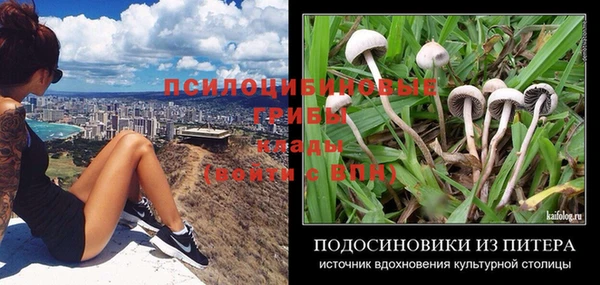 MDMA Заводоуковск